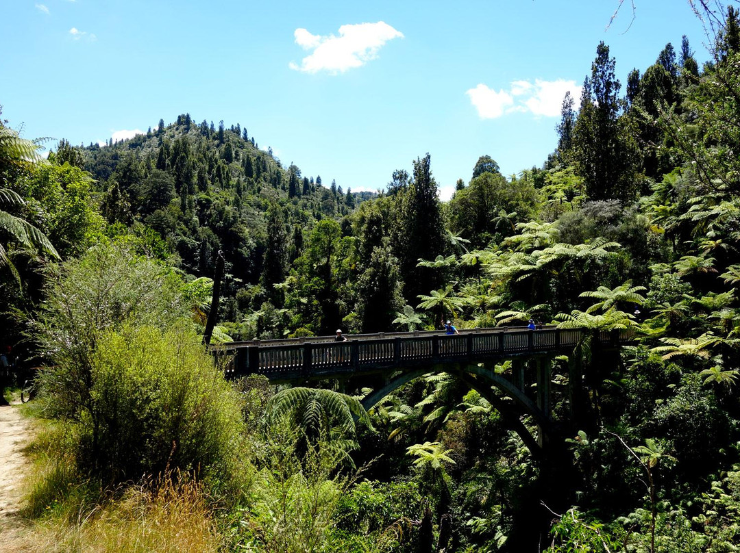 绝路桥-Manawatu-Wanganui Region必去景点