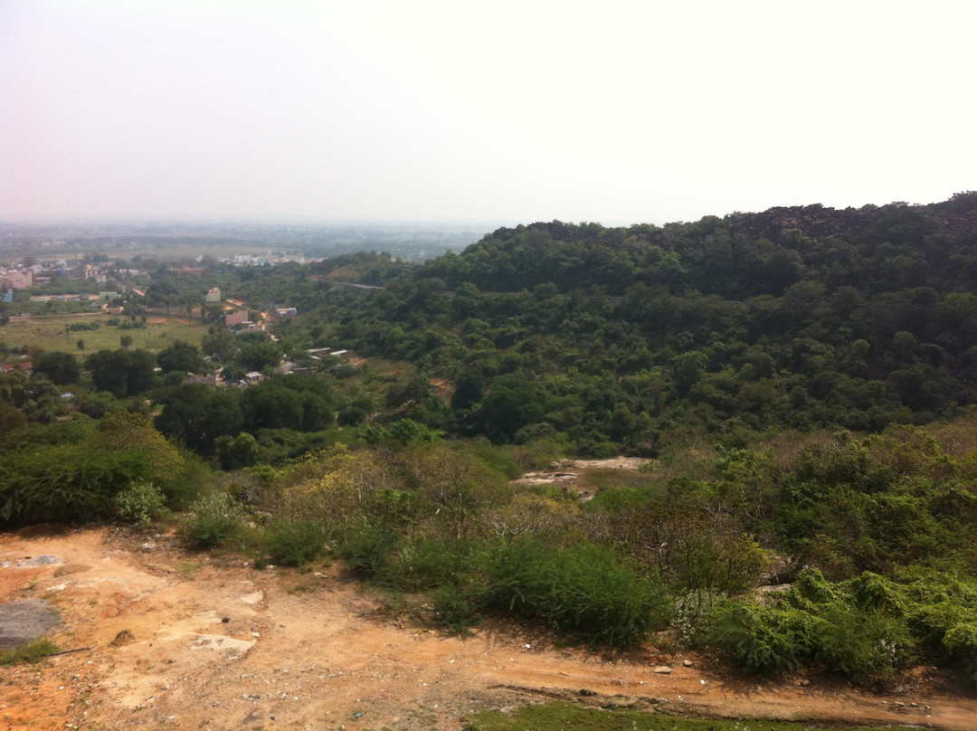 Thiruthani Murugan Temple景点图片