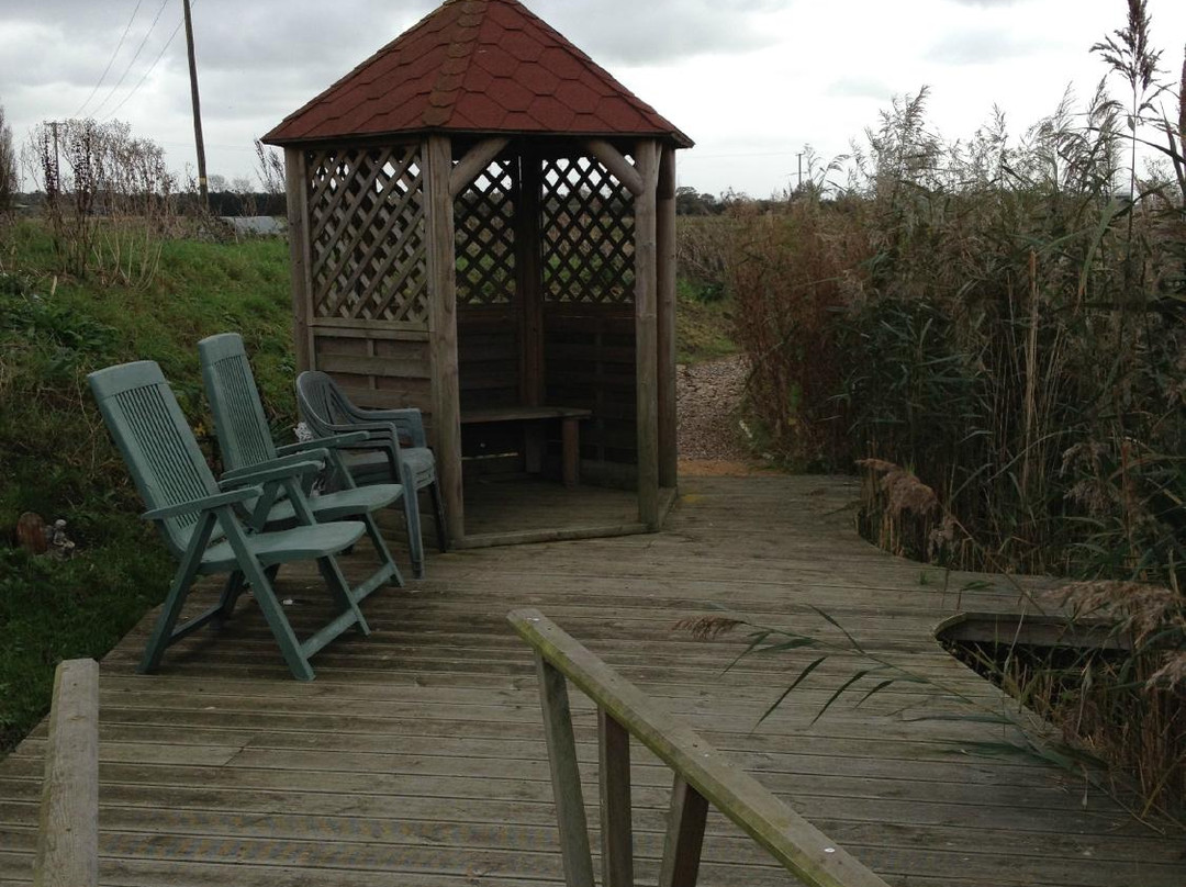 Wood Fen Lodge Spa-Little Downham必去景点