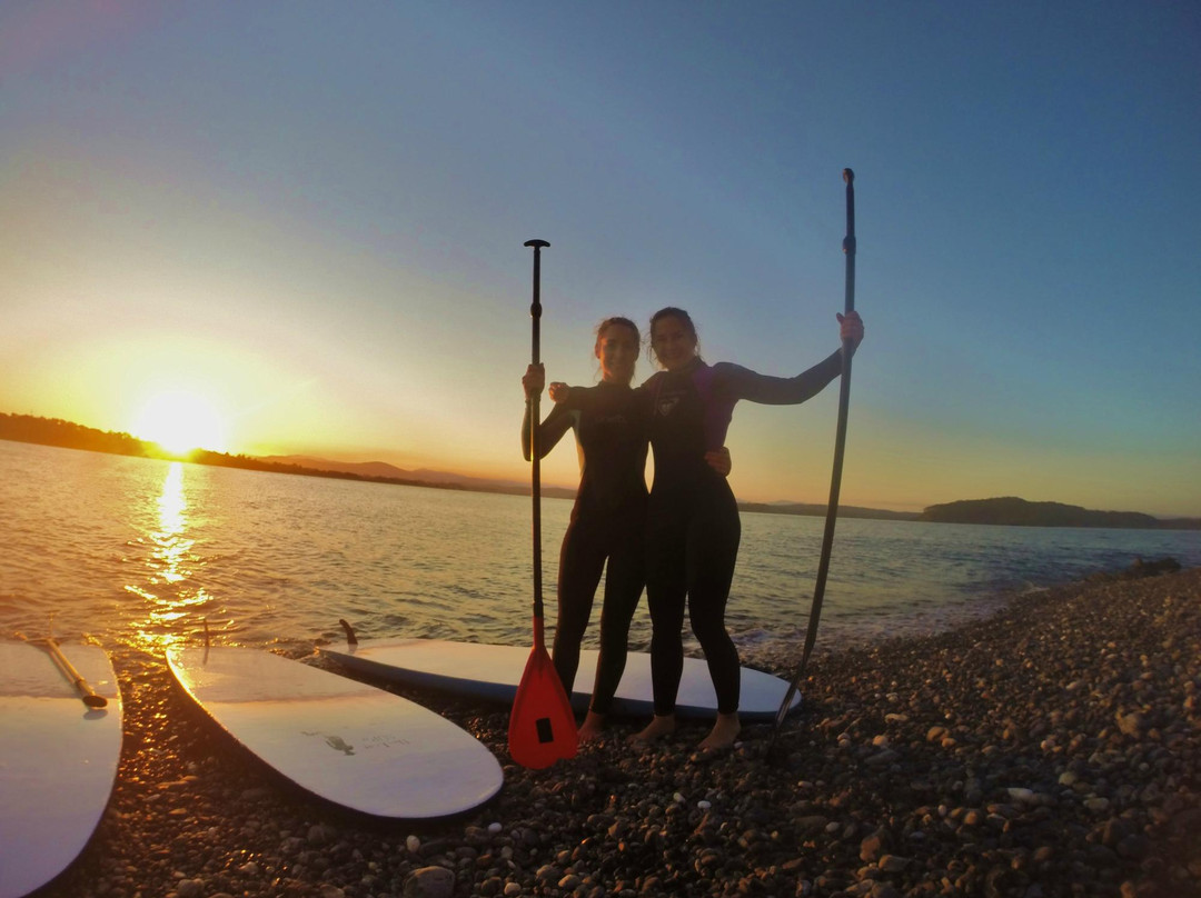 Surf the Bay Surf School景点图片