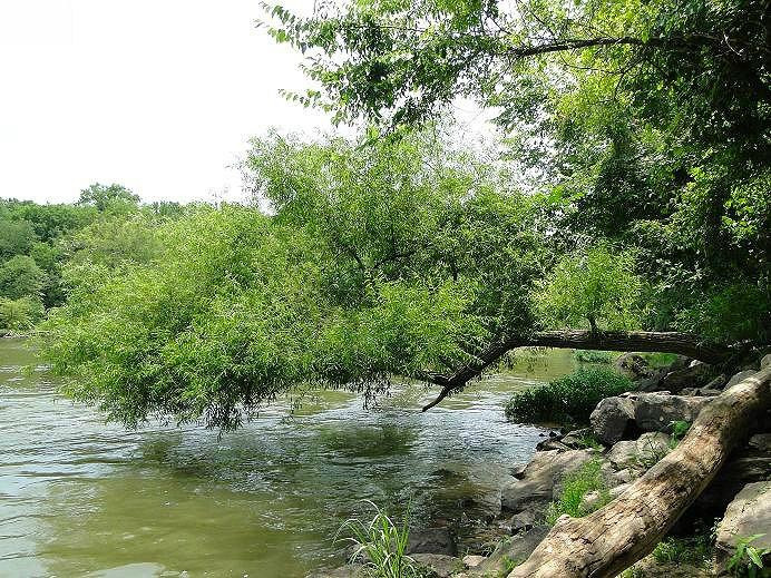Lower Haw River State Natural Area-Pittsboro必去景点