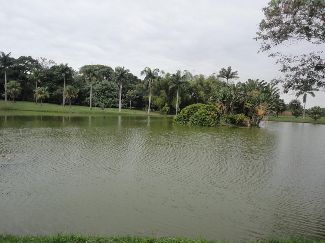 Jardim Botânico da Universidade Federal Rural do Rio de Janeiro景点图片