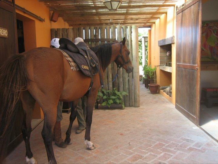 Haras Godiva-Jose Ignacio必去景点