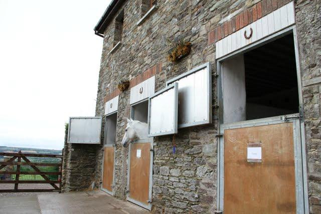 Hitchmough's Equestrian Centre景点图片