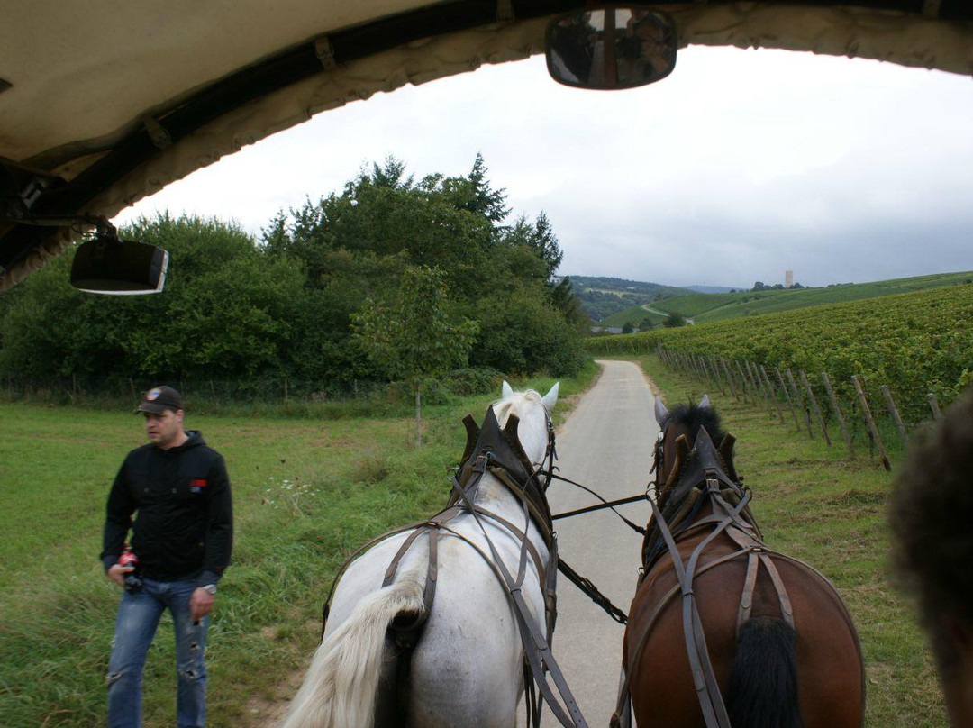 EvenTours Rheingau Tours景点图片