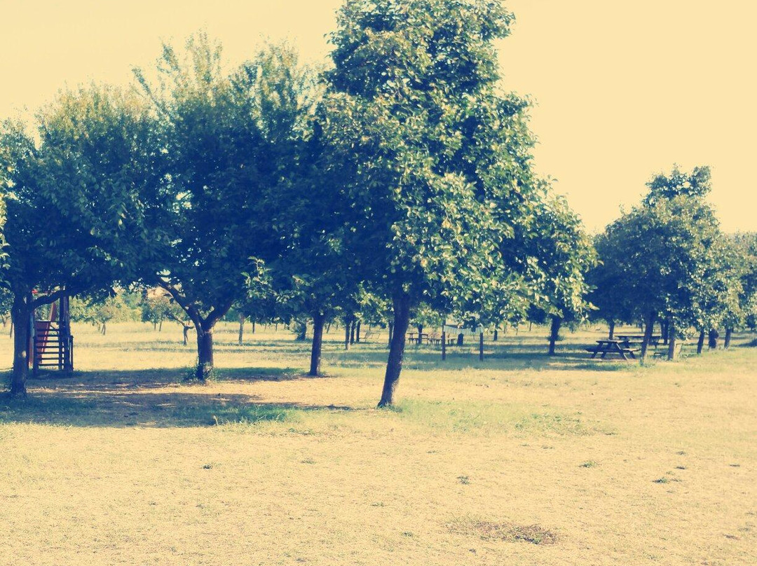 Archaeological Park of Pontecagnano Faiano-Faiano必去景点