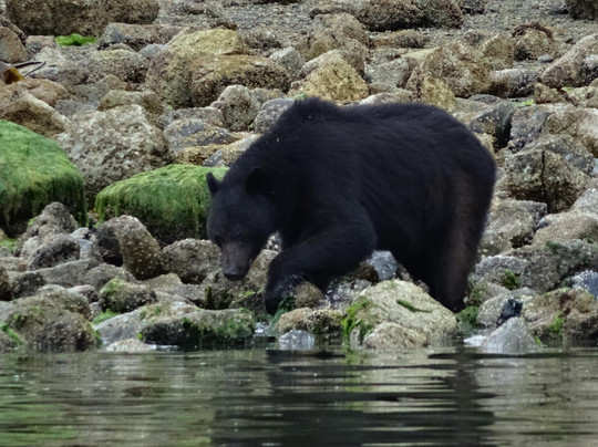 The Marine Adventure Centre-托菲诺必去景点