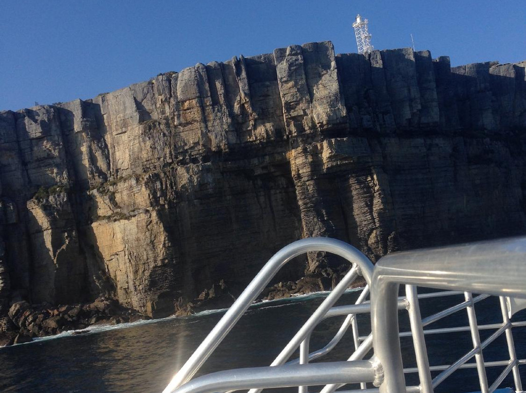 Jervis Bay Eco Adventures-Day Boat Tours-赫斯基森必去景点