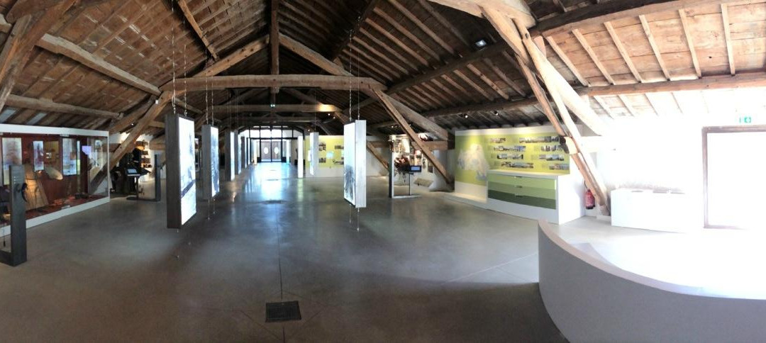 Musee de la Camargue-阿尔勒必去景点