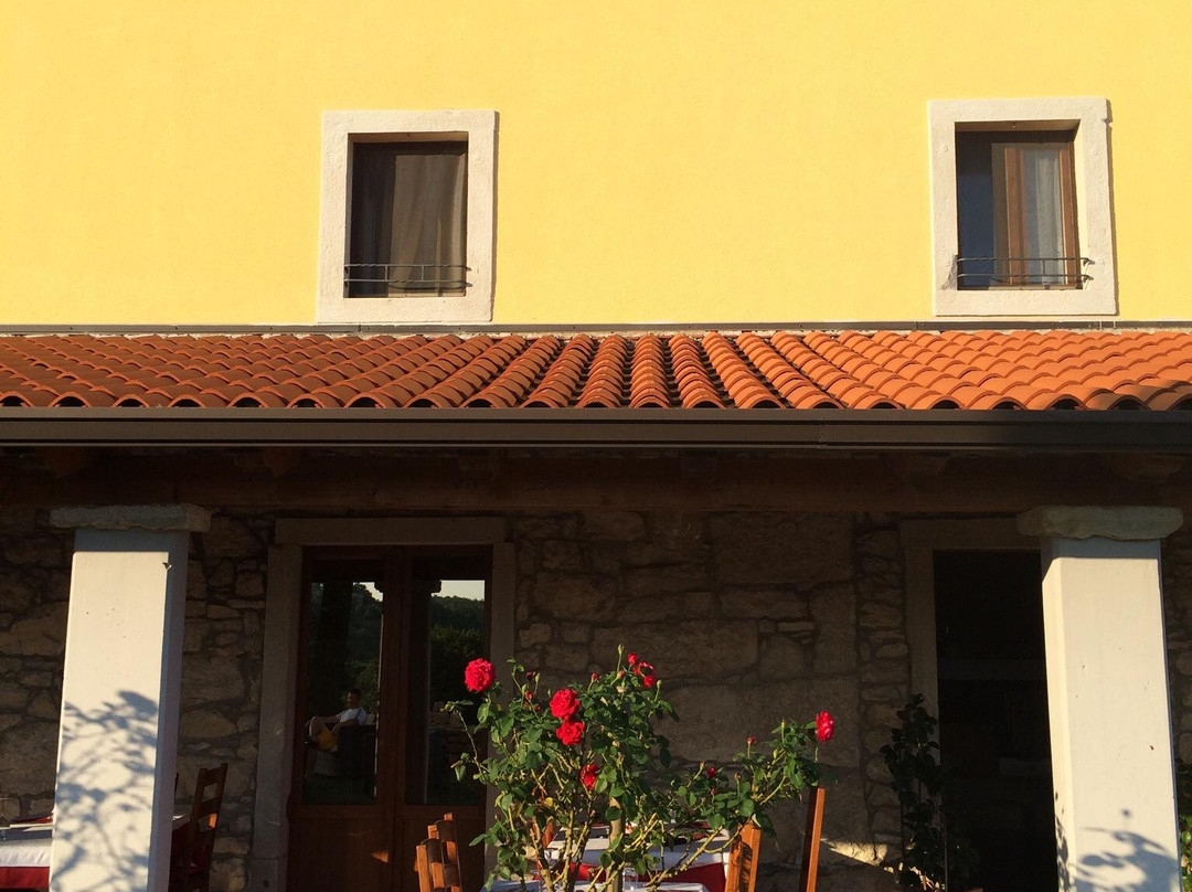 Villa Calussovo主图