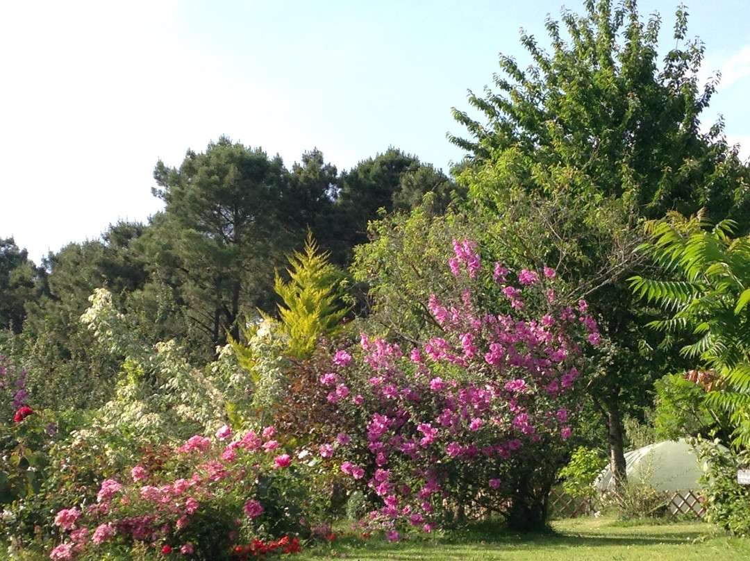 Jardin Les Couleurs du Temps景点图片