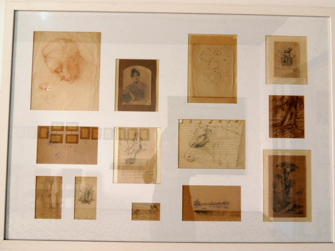 Casa de Pedro Americo Museum景点图片
