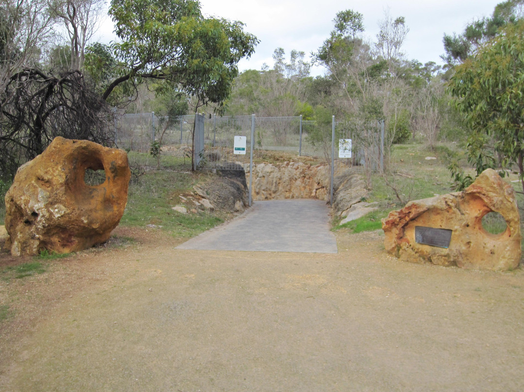 Naracoorte Caves National Park-Naracoorte必去景点