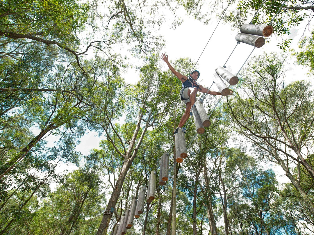 Treetops Adventure Western Sydney景点图片