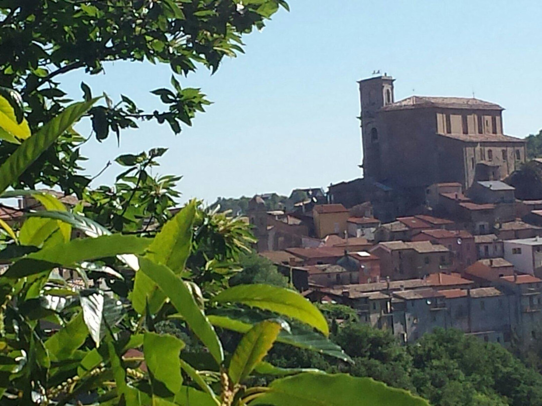 Chiesa del Ritiro景点图片