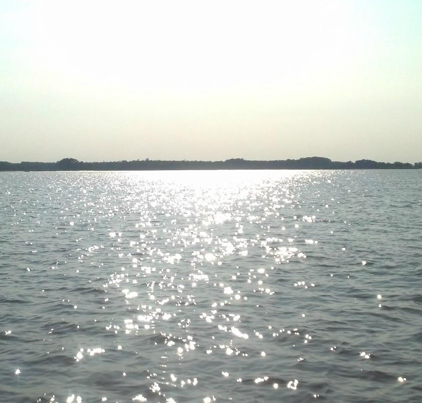 Badfish Charters-Ocean View必去景点