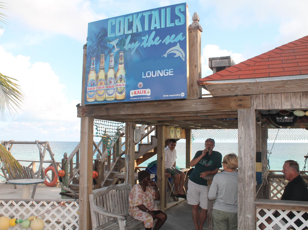 Cocktails by the Sea-Cat Island必去景点