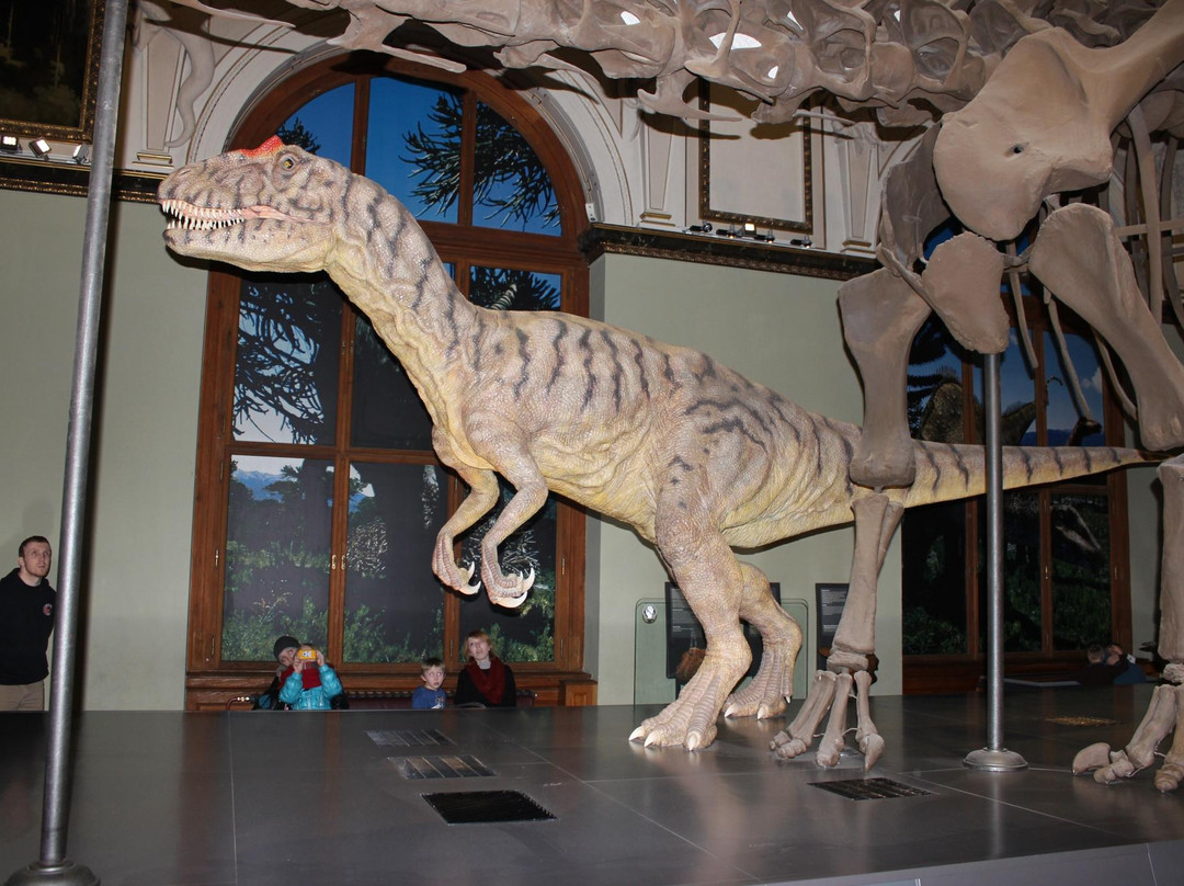 自然史博物馆-维也纳必去景点