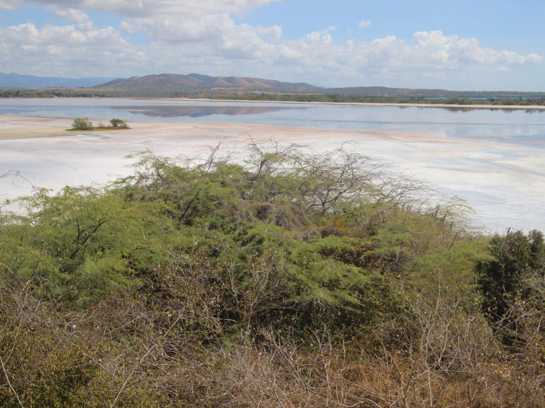 Cabo Rojo National Wildlife Refuge-Cabo Rojo必去景点