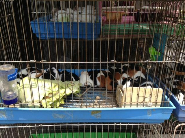 东大门购物百货-首尔必去景点