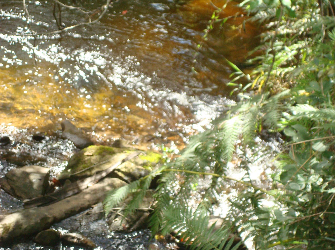 Santuario do Caraça-Catas Altas必去景点