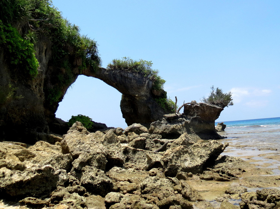 Natural Coral Bridge景点图片