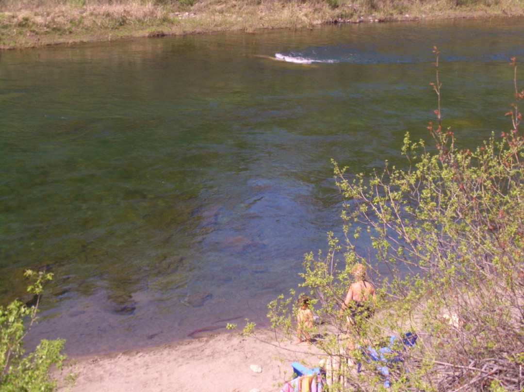Redwoods and Rivers-Big Bar必去景点