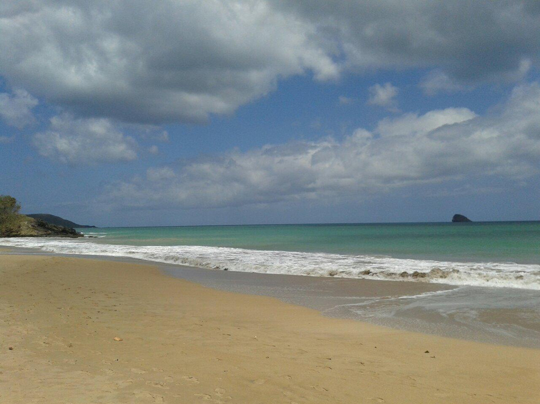 Plage Cluny-Sainte Rose必去景点