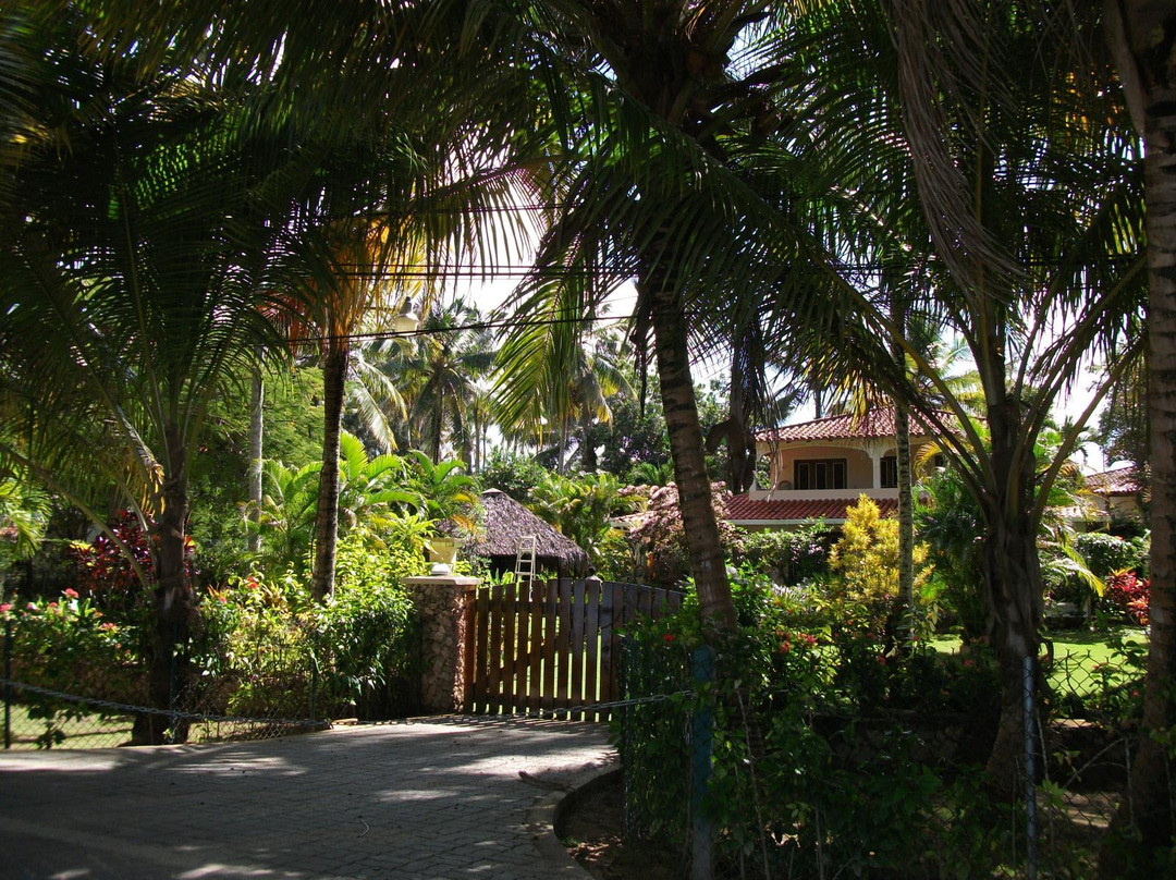 Playa Las Ballenas-拉斯特拉纳斯必去景点