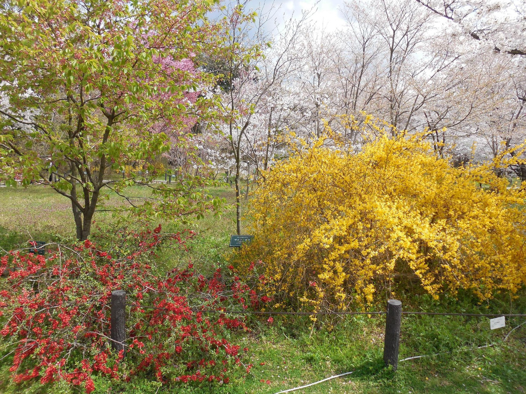 京都府立植物园-京都市必去景点