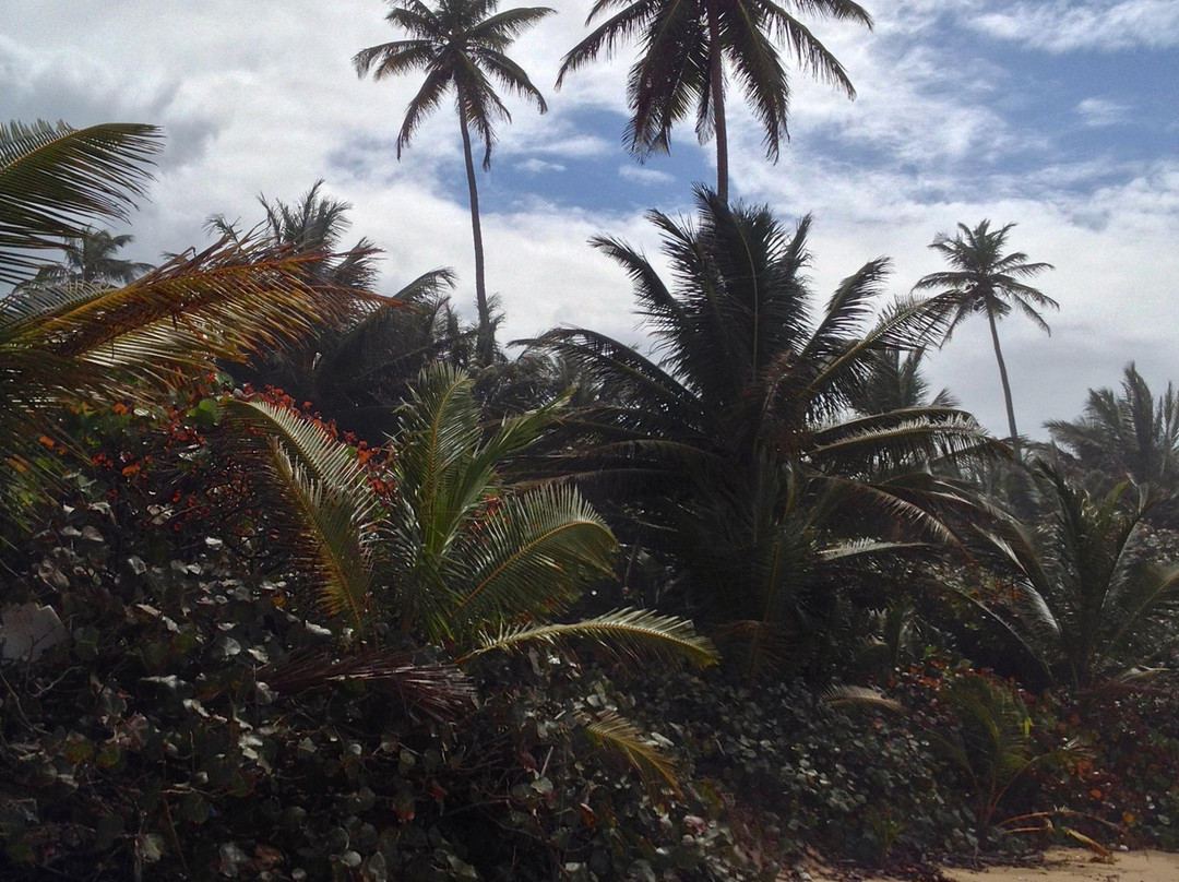 Playa Los Tubos-Manati必去景点