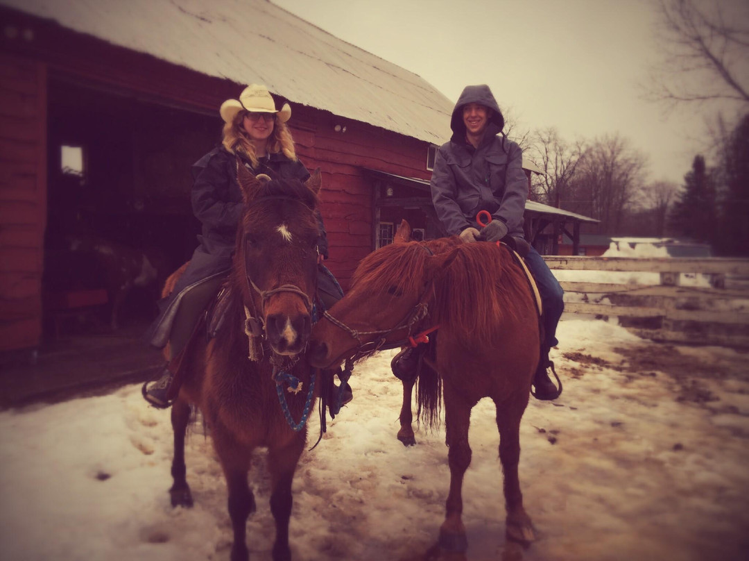 Circle B Ranch-Chestertown必去景点