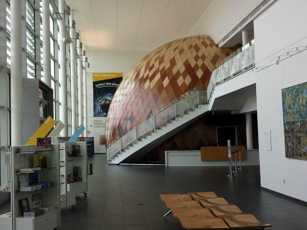 Evansville Museum of Arts, History & Science-埃文斯维尔必去景点