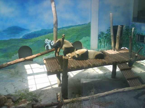 红山森林动物园-南京市必去景点