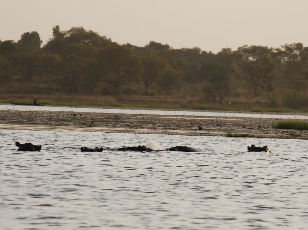 Mare aux Hippopotames景点图片