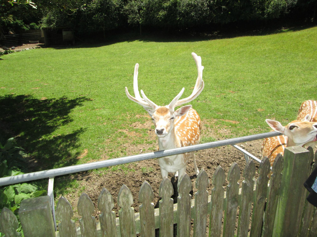 天堂谷温泉野生动物园-罗托鲁瓦必去景点