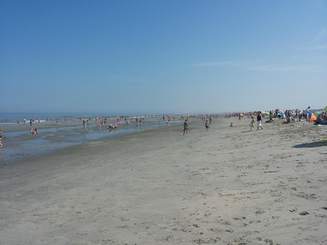 Naaktstrand Hoek van Holland景点图片