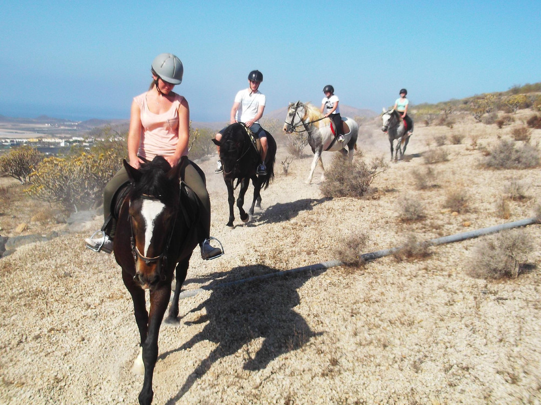 Horse Riding Adventures In Tenerife-圣米格尔德亚沃纳必去景点