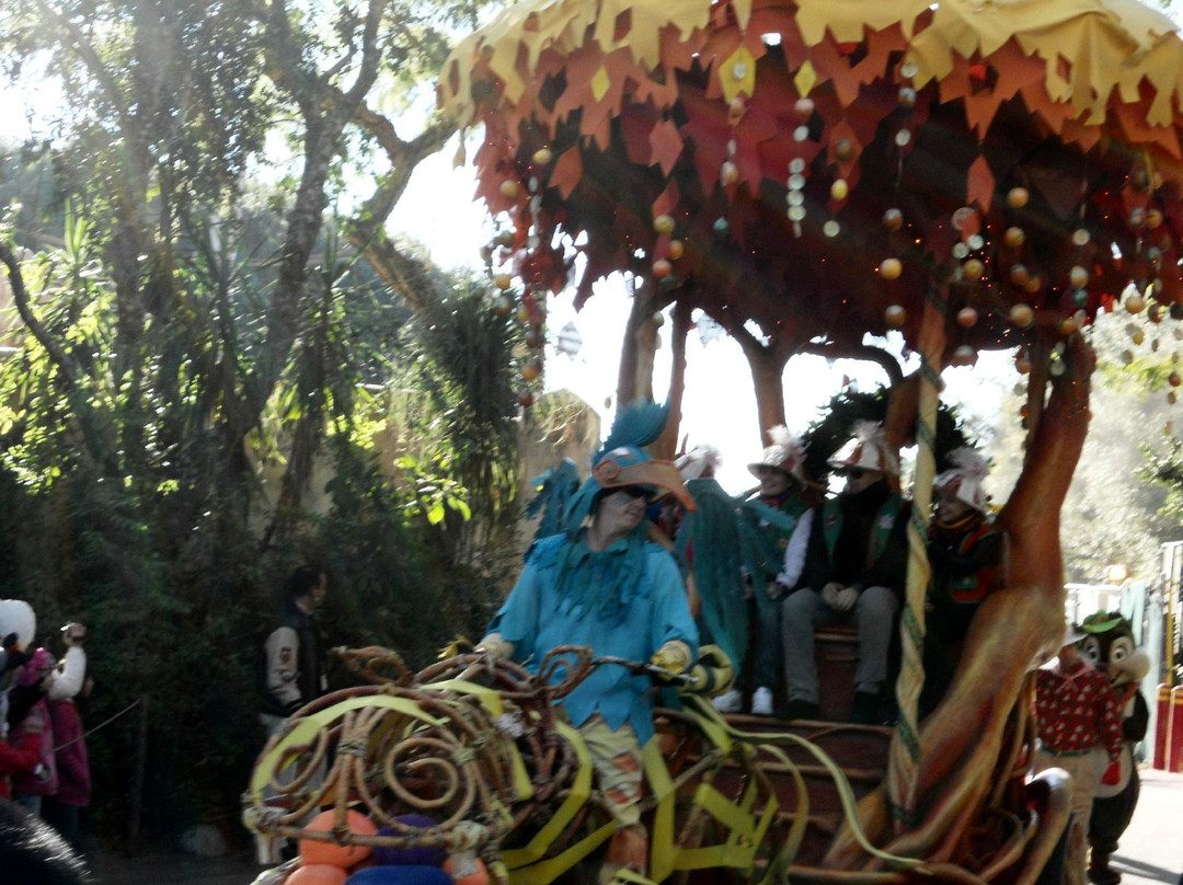 迪斯尼动物王国-奥兰多必去景点