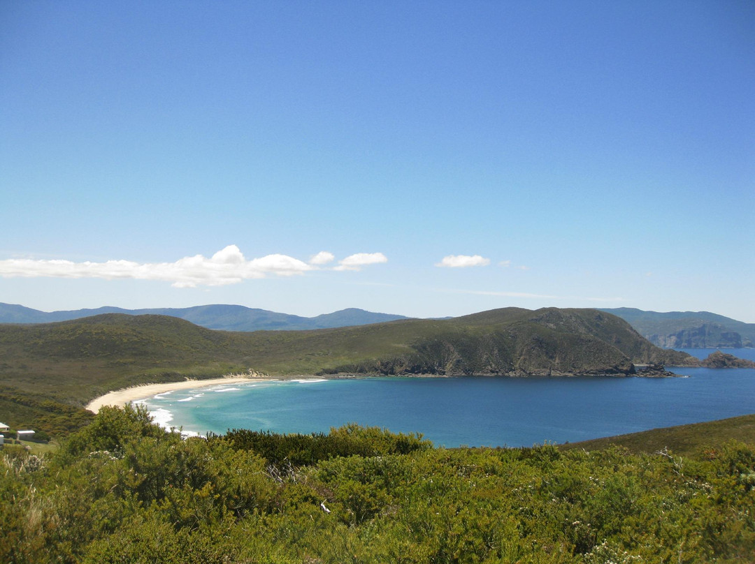 Bruny Island Safaris-霍巴特必去景点
