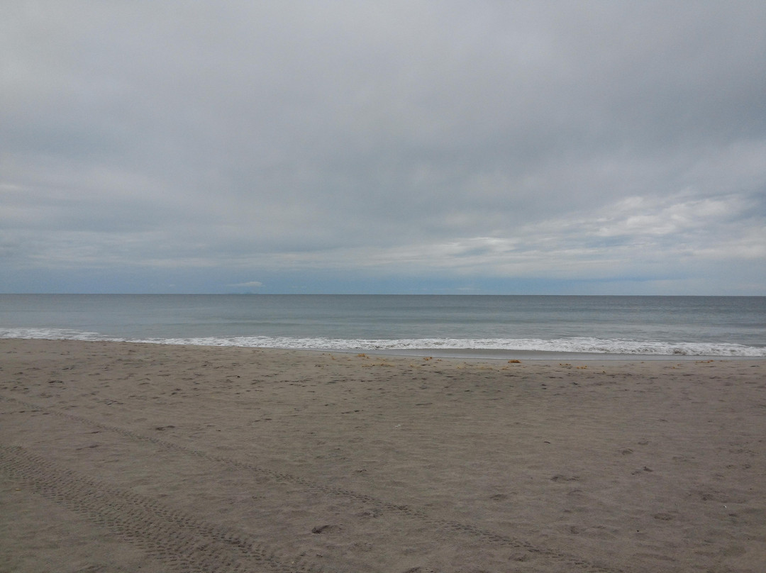 Ocean Beach景点图片