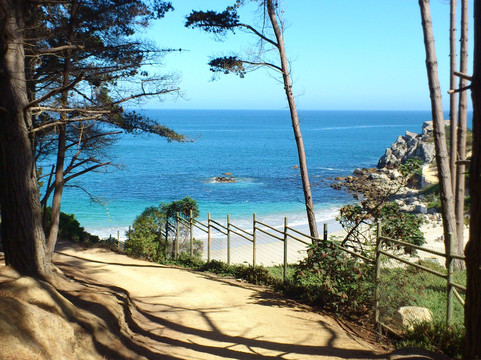 Playa Canelo-瓦尔帕莱索必去景点