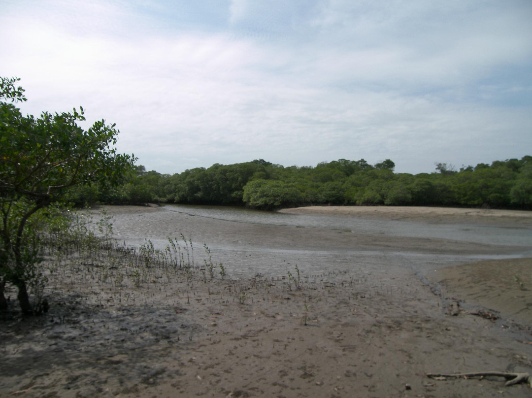 Playa Las Comadres景点图片