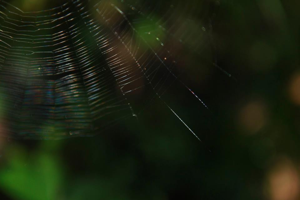 Kukkal Caves景点图片