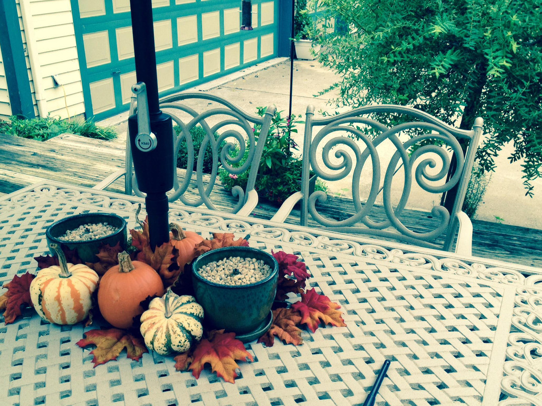 Bellevue Bed and Breakfast主图