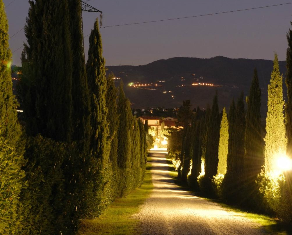 Cerreto Guidi酒店住宿-Agriturismo Isola Verde