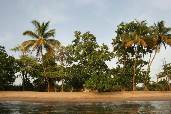 Plage de Grand Batanga景点图片