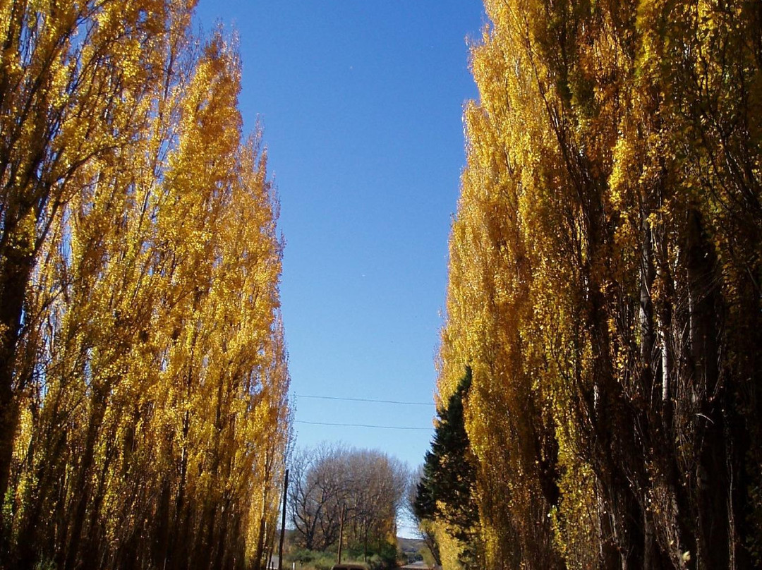 Trelew酒店住宿-La Casona del Rio