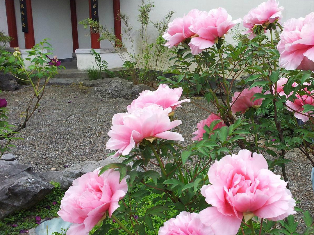 世界花园景点图片