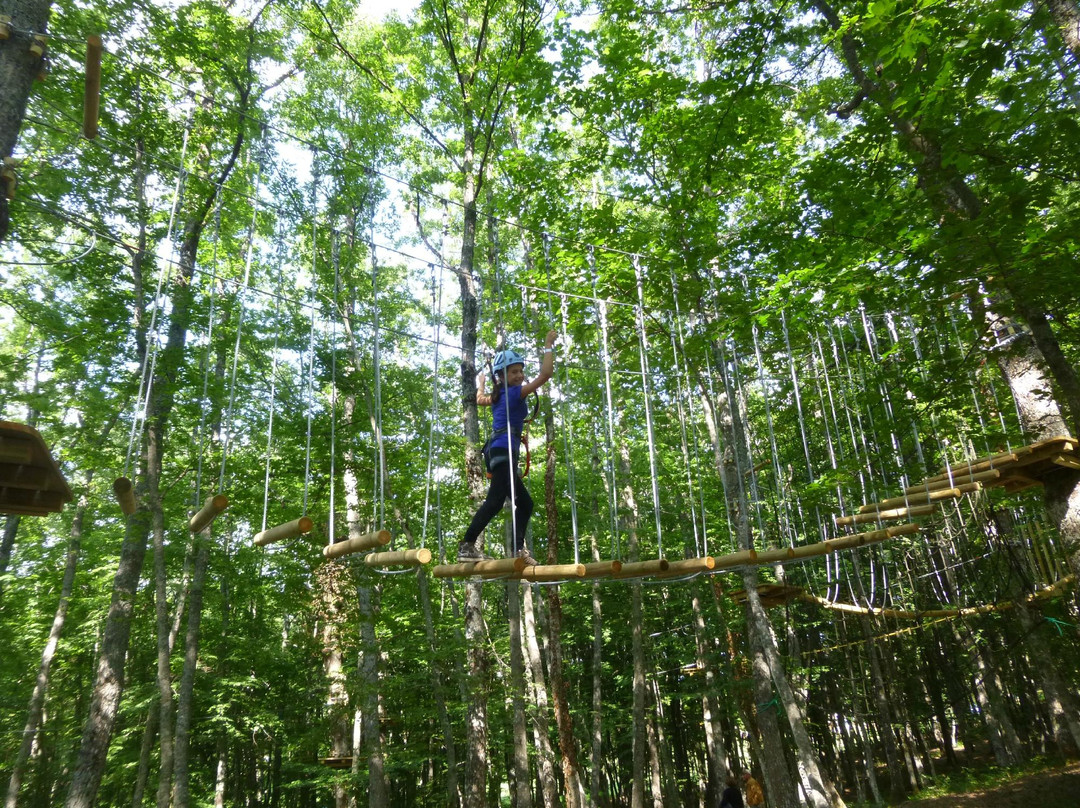 Carpegna Park - Family Adventure Mountain景点图片